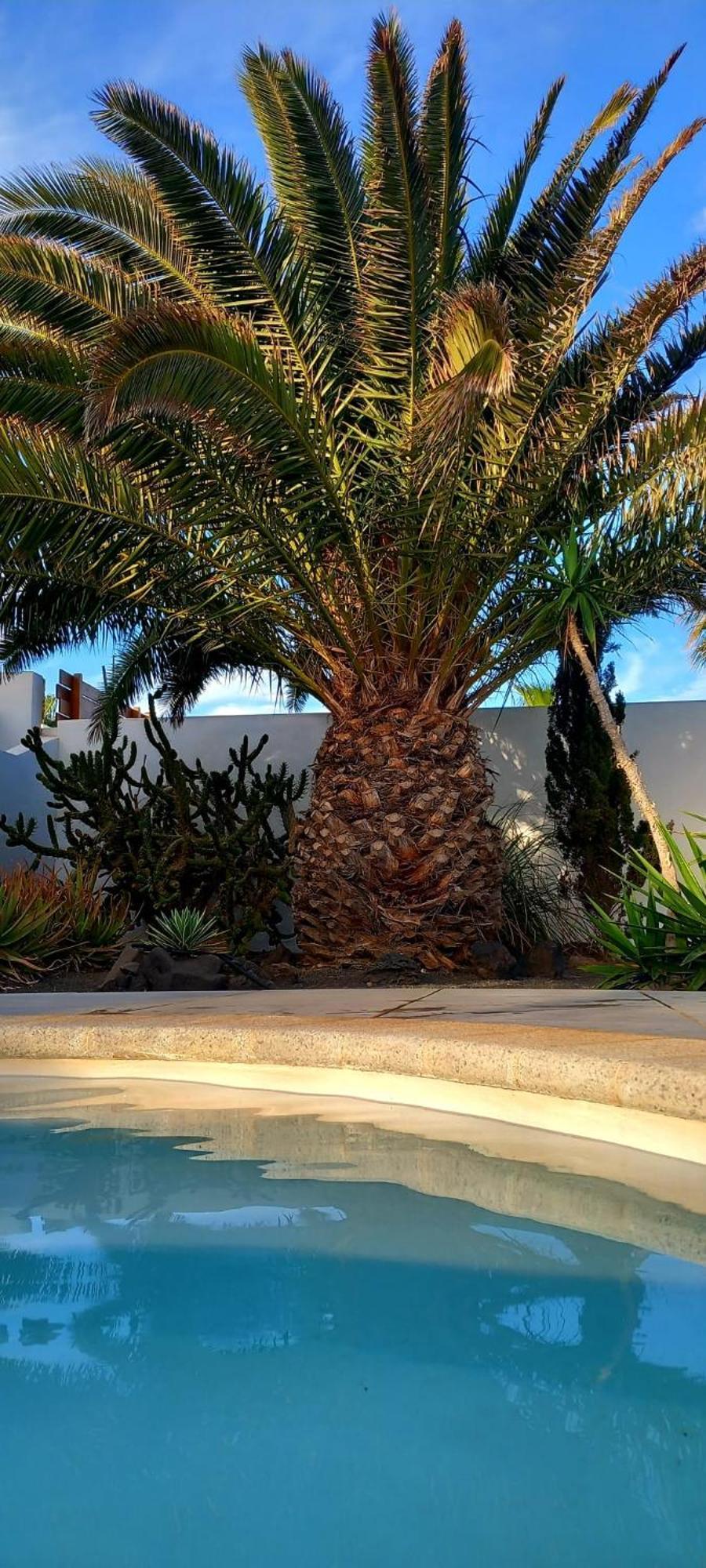 Casa Alizee, Heated Pool, Hot Tub Villa Playa Blanca  Exterior photo
